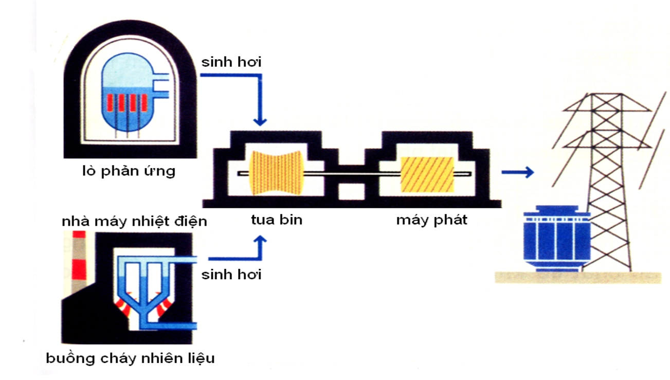 Cấu trúc nhà máy điện hạt nhân