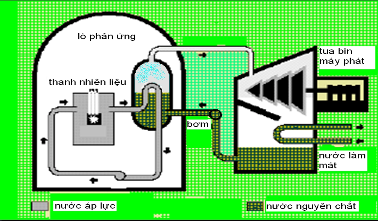 Lò nước nhẹ PWR