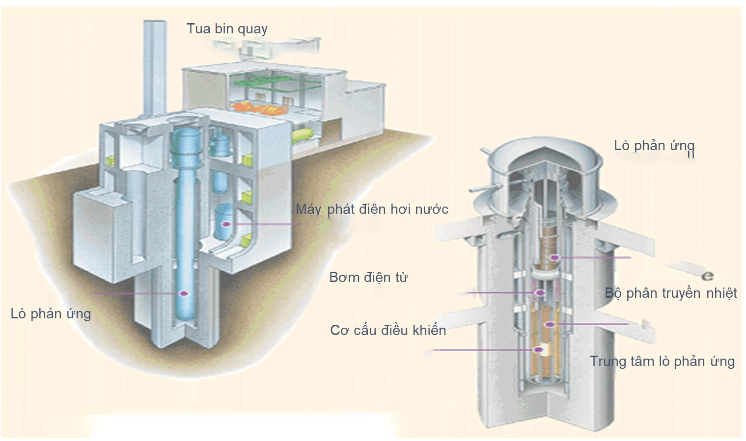 Sơ đồ nguyên lý lò phản ứng hạt nhân