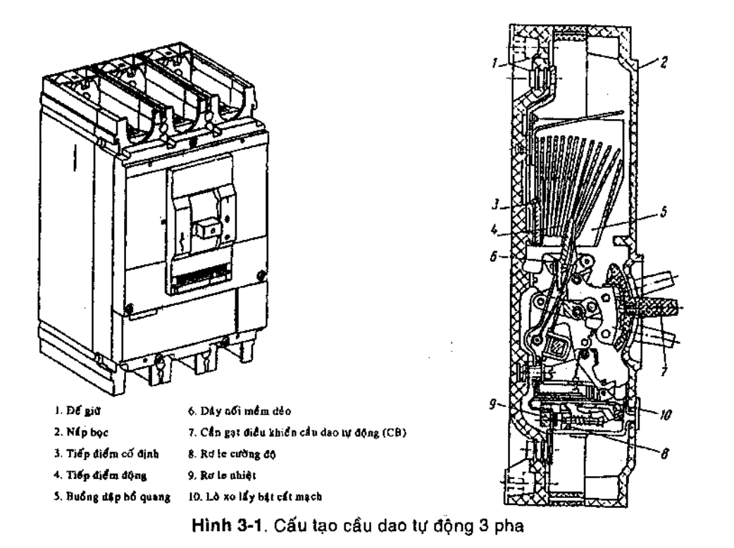 cau dao tu dong