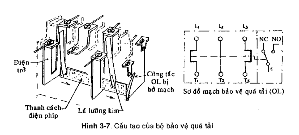 cau tao cua bo bao ve qua tai